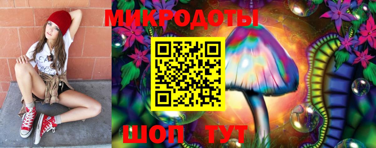 Псилоцибиновые грибы Psilocybine cubensis Когалым
