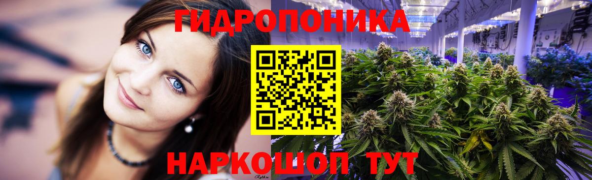 Марихуана конопля Когалым